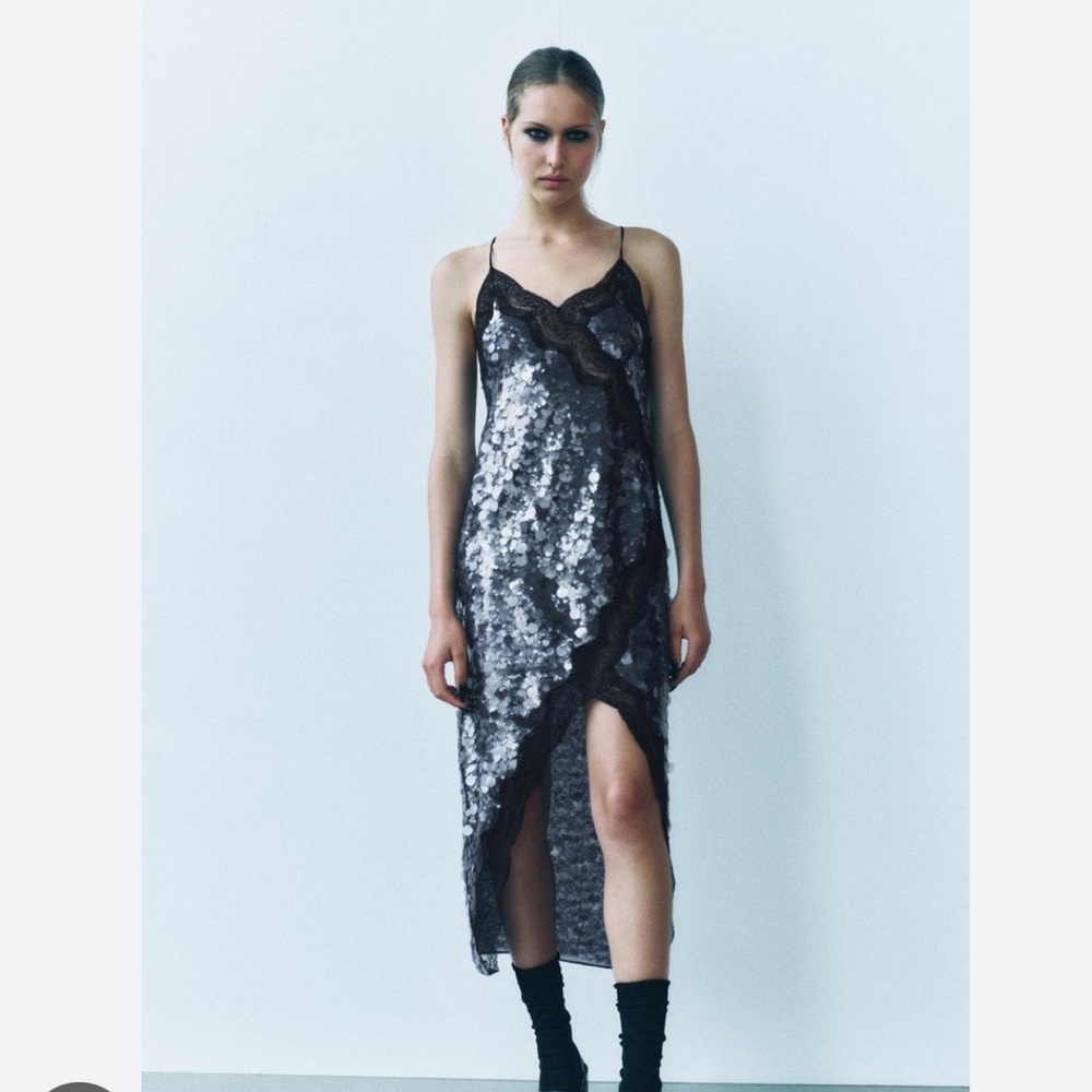 Zara NWT lace sequin dress ZW Collection 9002/799